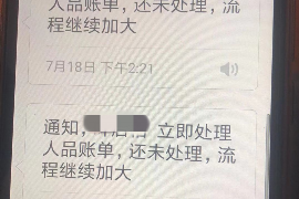 靖安融资清欠服务